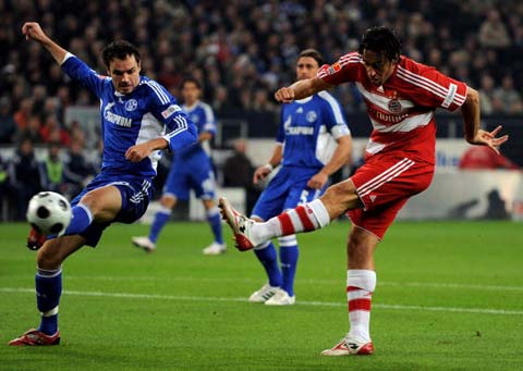 項職業運動 項職業運動