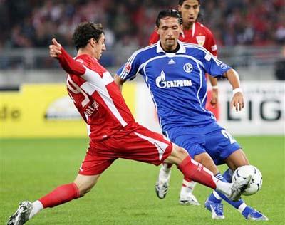 增添了不少 增添了不少